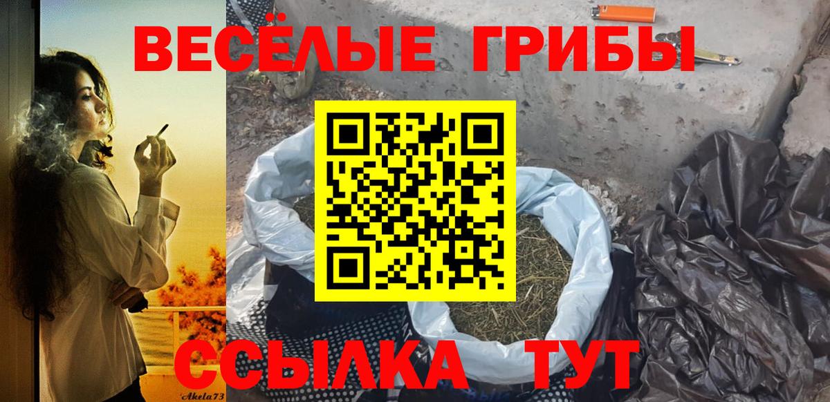 Галлюциногенные грибы Magic Shrooms Алатырь